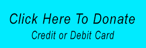 button to donate by credit or debit card